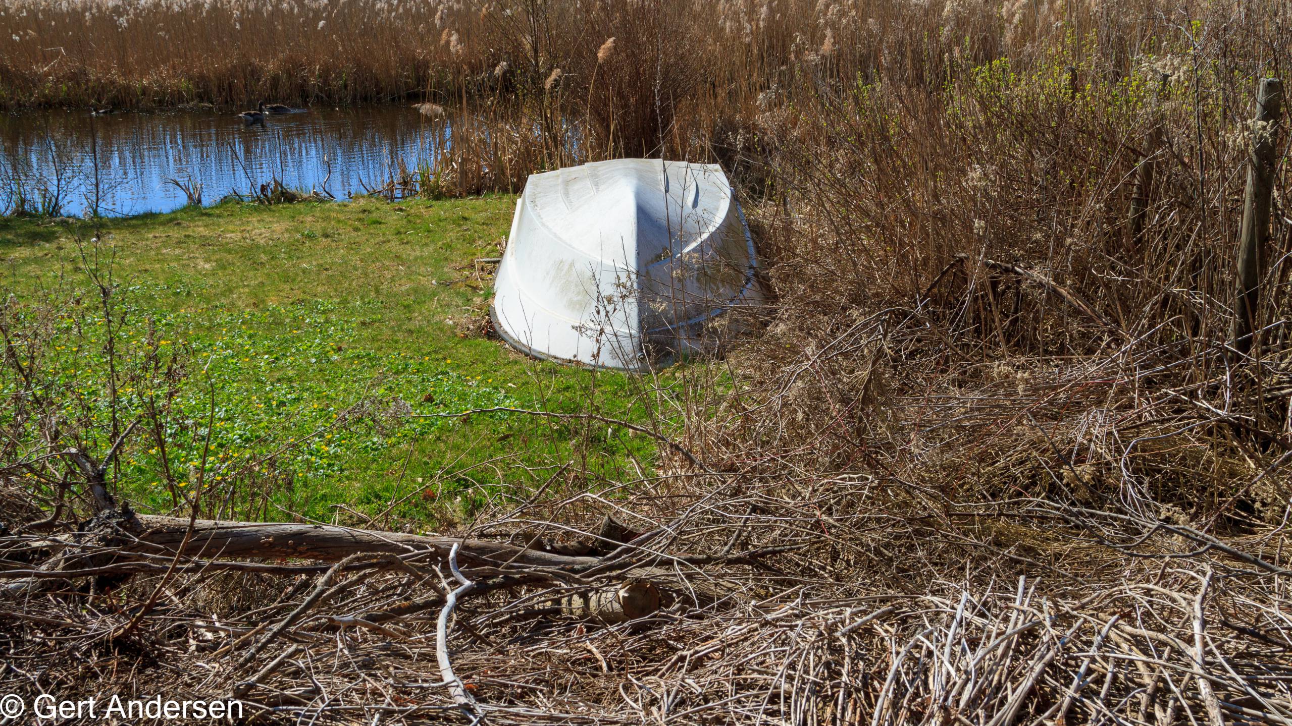 Lyngby Sø (11 of 37) compressed